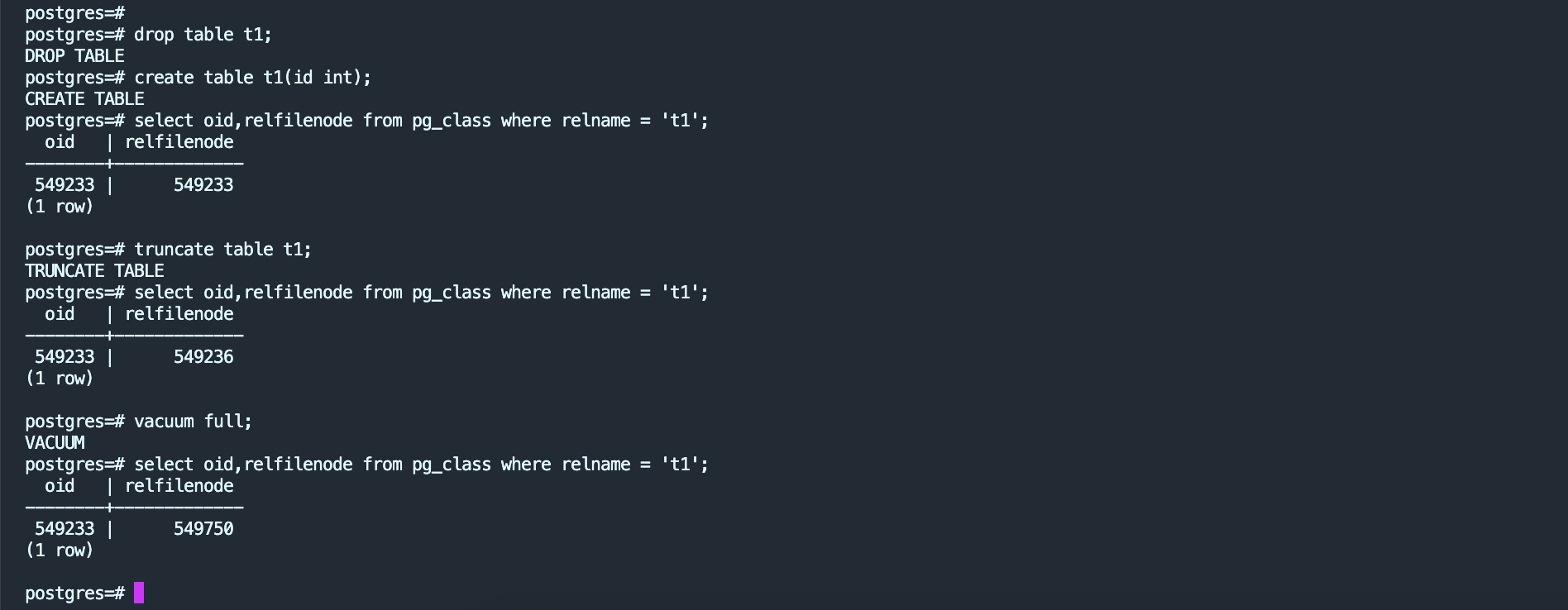 image-20231215152346772